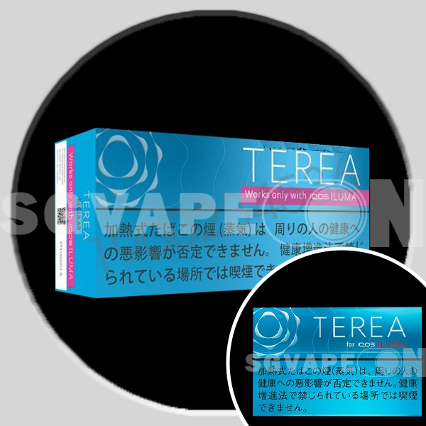 Regular_TEREA_SINGAPORE