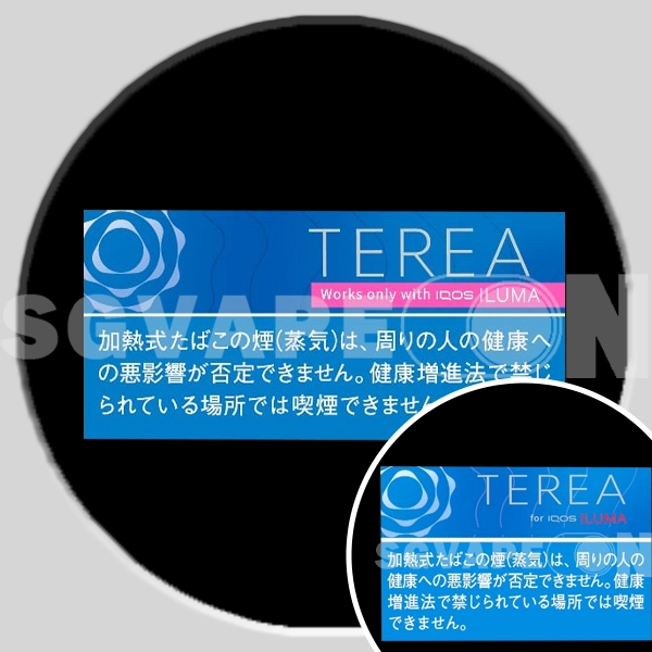 Rich Regular_TEREA_SINGAPORE